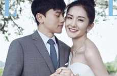 重逢之妖婚娱乐圈,娱乐圈的甜蜜复仇记