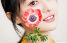 娱乐吃瓜酱心动心安,心动与心安的甜蜜碰撞