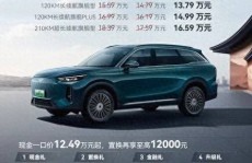 奇瑞风云T9插电混动来袭置换补贴后仅1199万起你心动了吗？奇瑞混动风云t9
