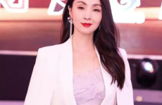 陶虹前夫,揭秘演艺圈背后的情感纠葛