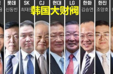 韩国财阀,经济巨头的兴衰之路