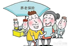 养老保险续交,了解政策、流程及注意事项