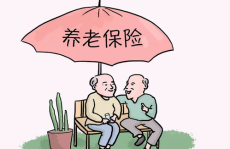 城镇职工养老保险,保障、缴费与待遇